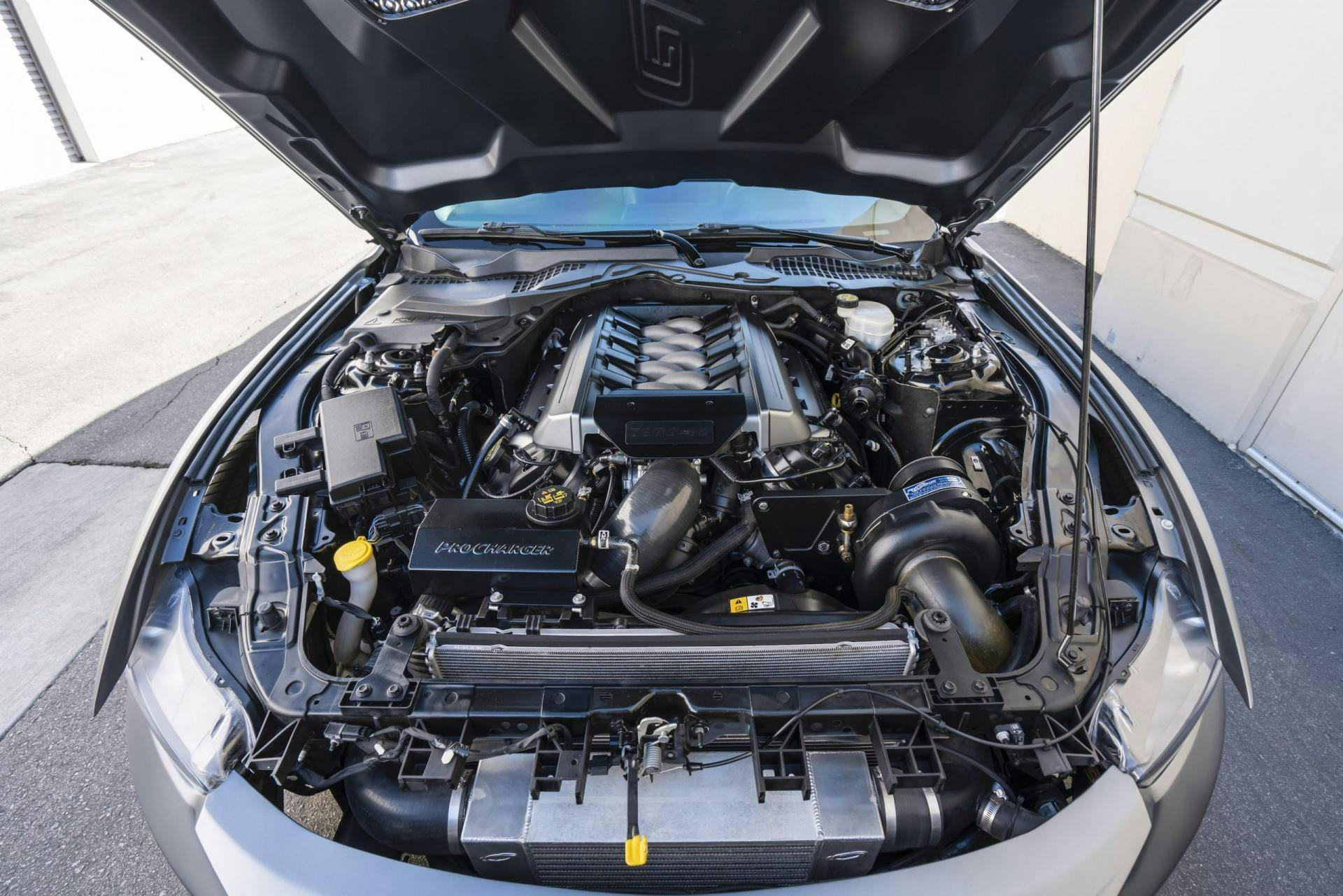750+whp 2016 Ford Mustang GTT
