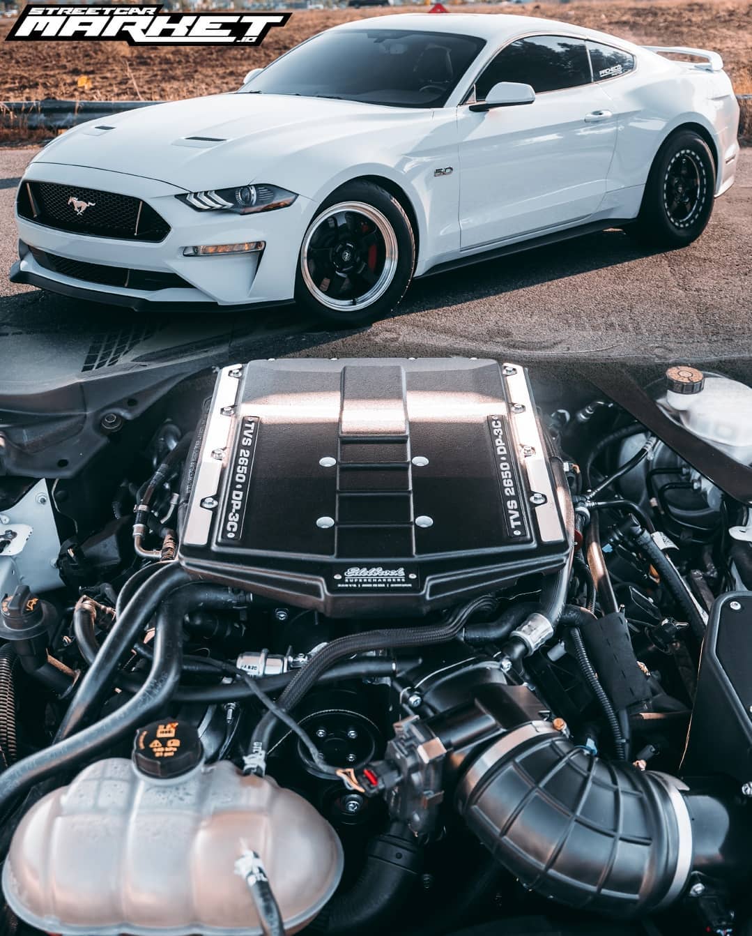 800whp 2019 Ford Mustang GT PP1