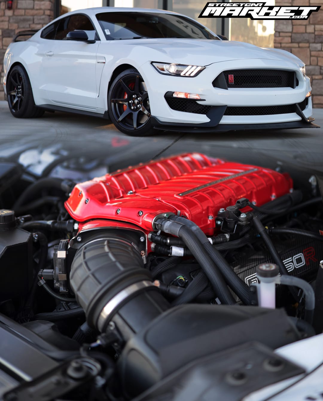 744whp 2019 Ford Mustang Shelby GT350R
