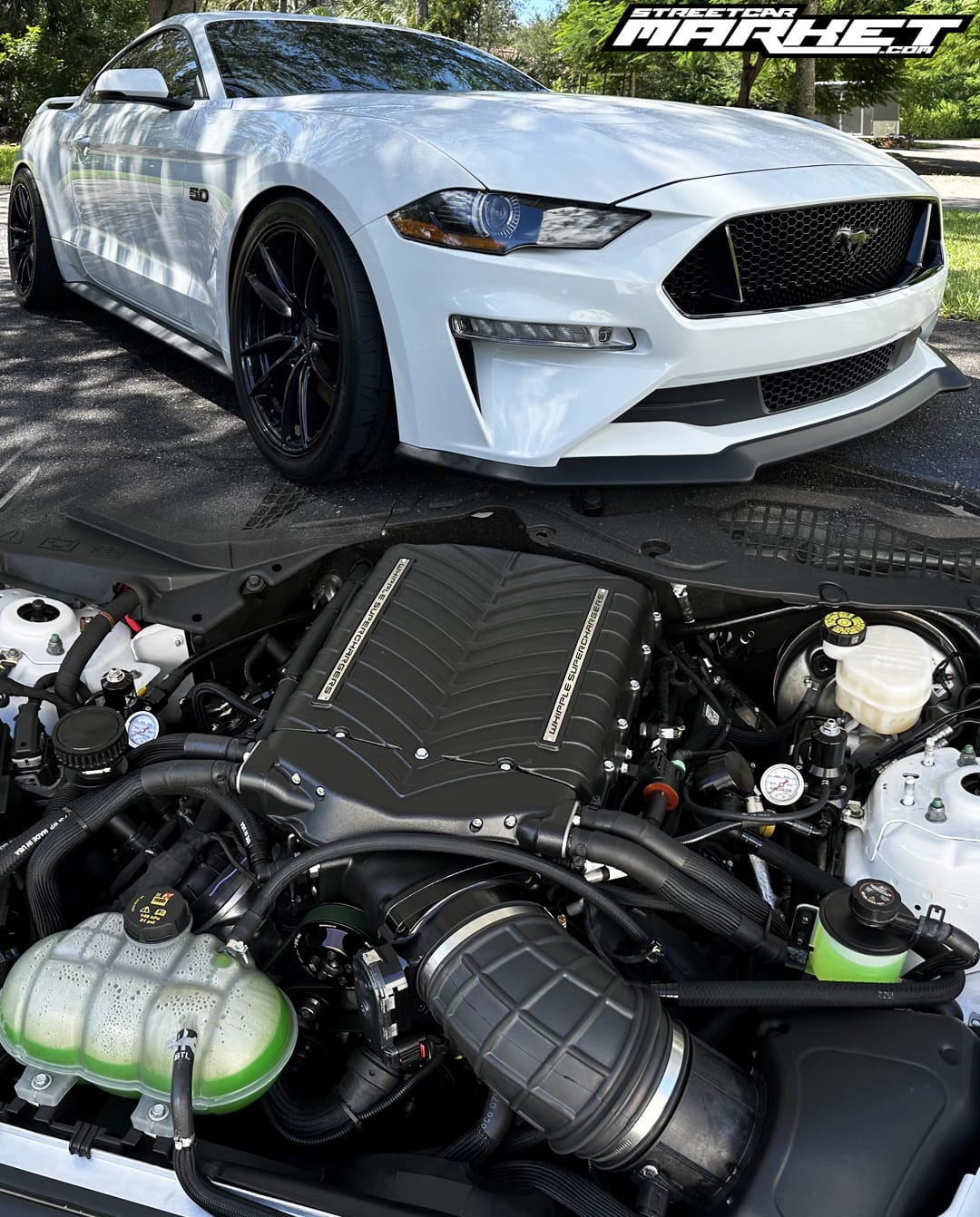 800whp 2022 Ford Mustang GT Premium/PP