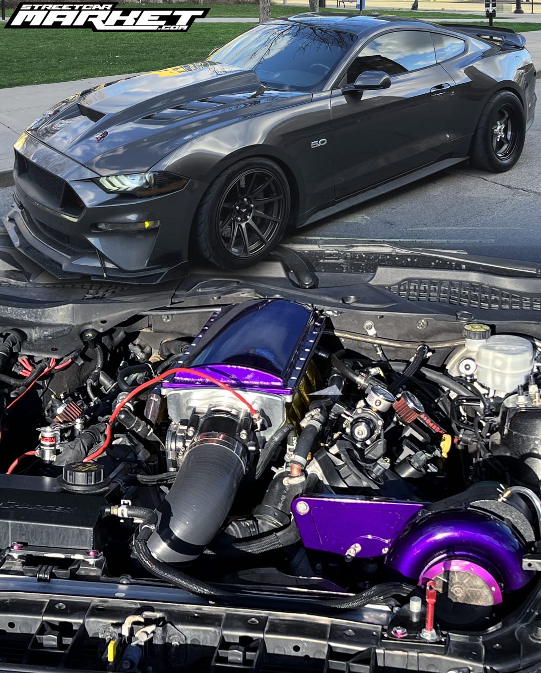 867whp 2019 Ford Mustang GT