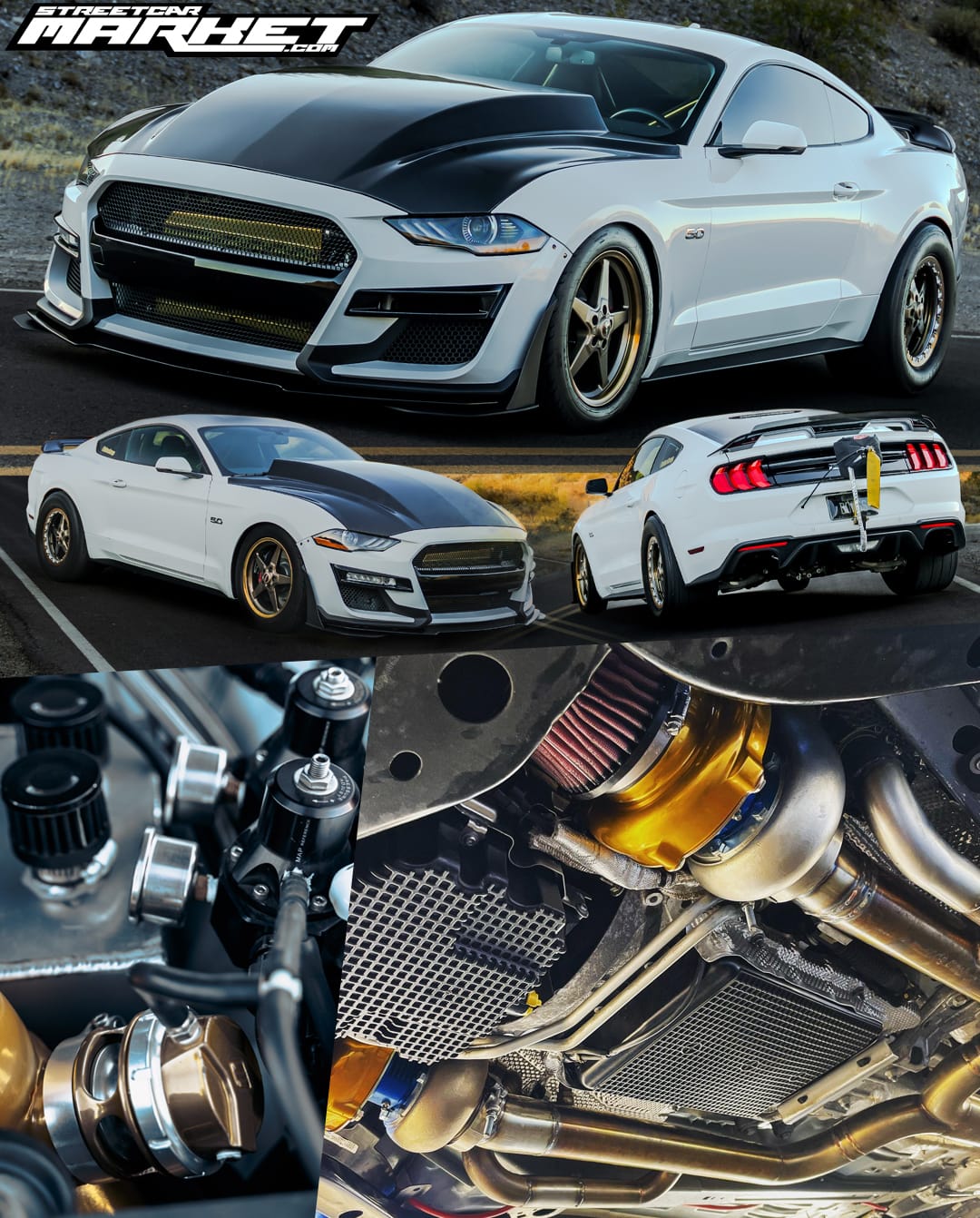 1256whp 2020 Ford Mustang GT/PP