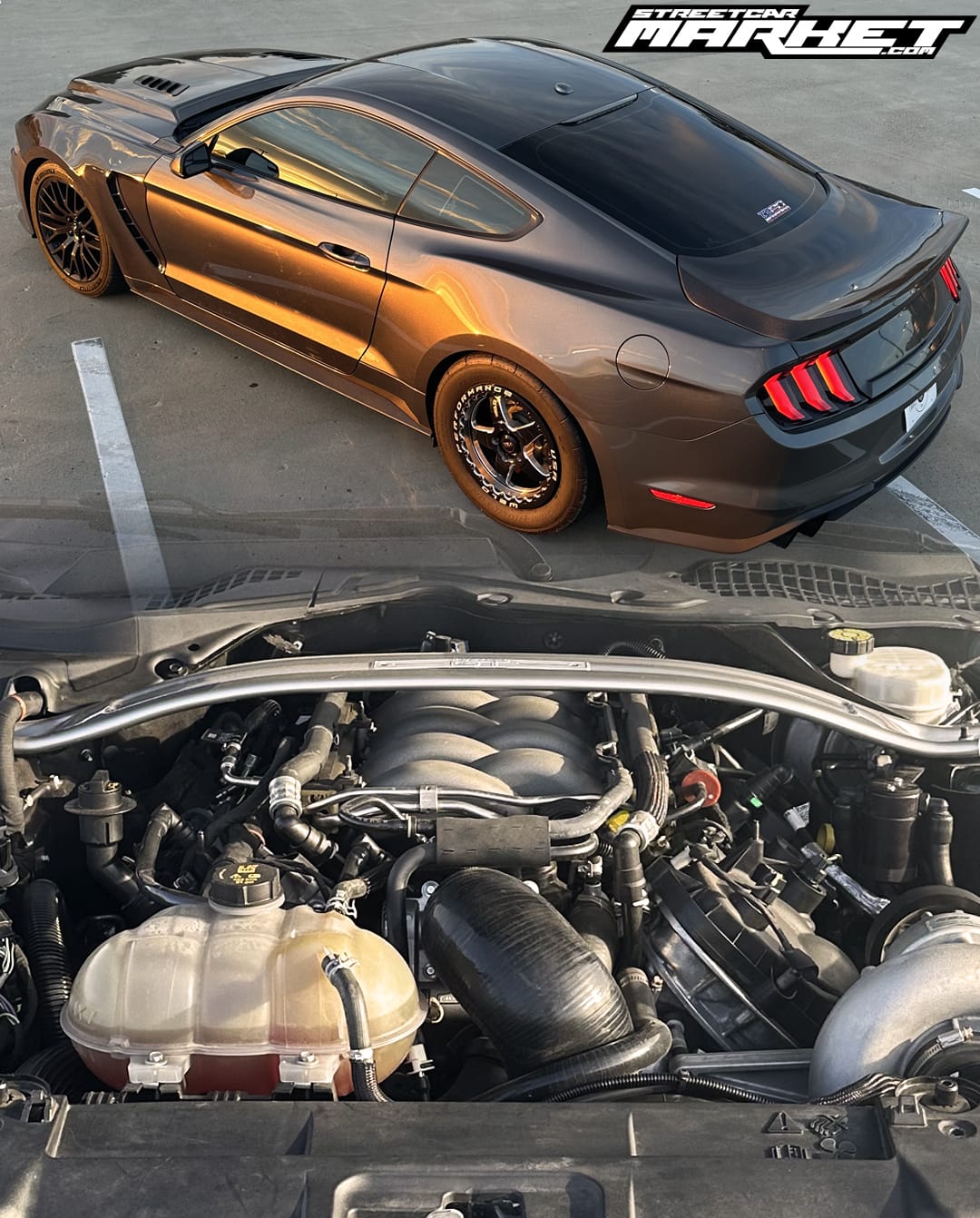 615whp 2019 Ford Mustang GT PP1