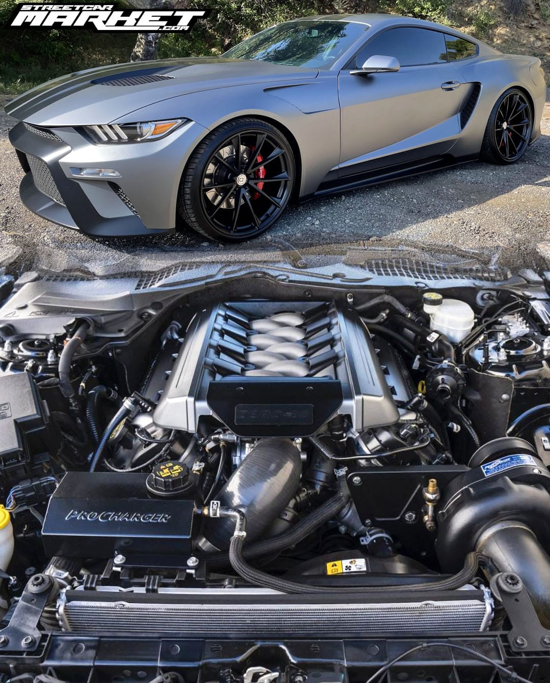 750+whp 2016 Ford Mustang GTT