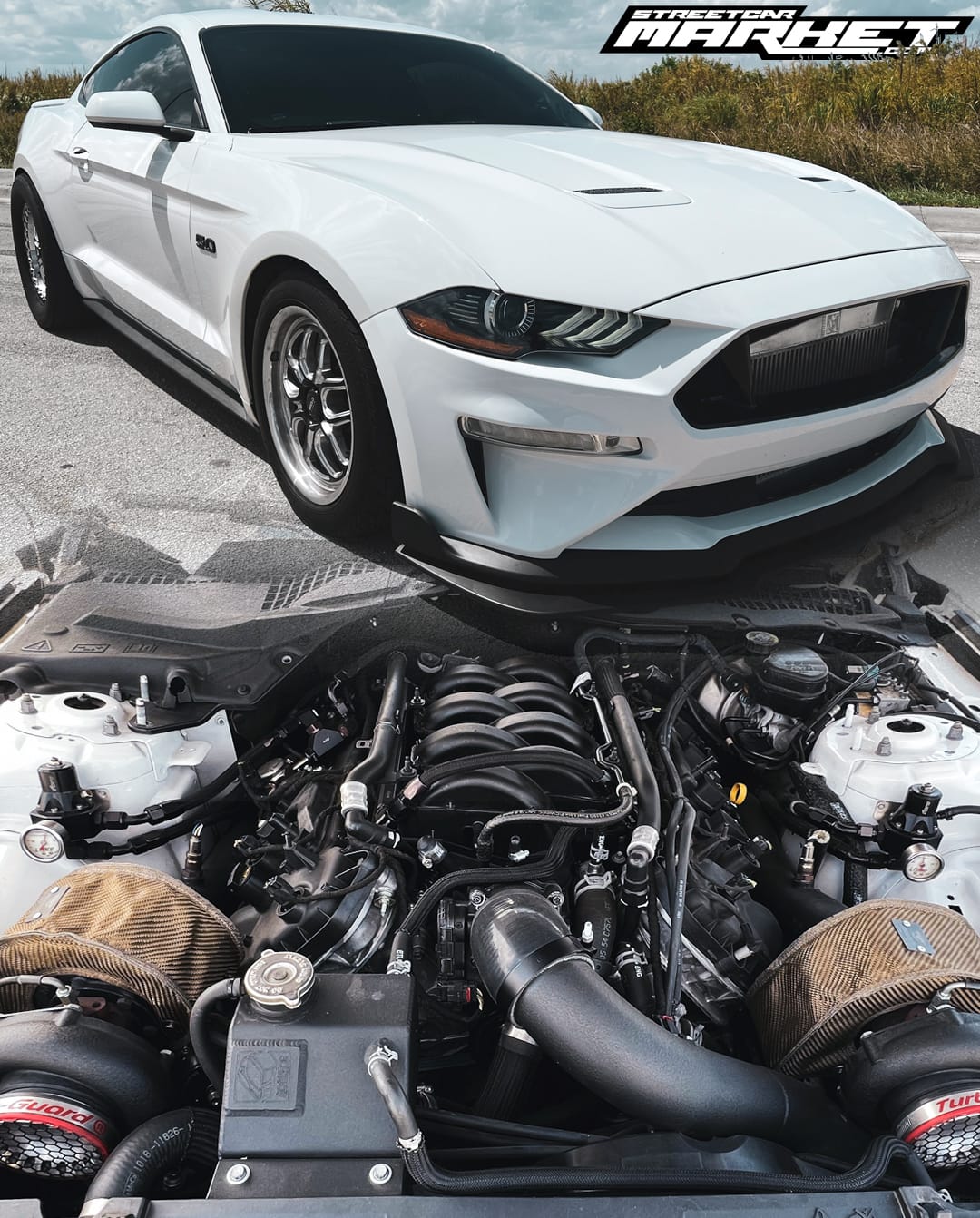 1000+whp 2018 Ford Mustang GT