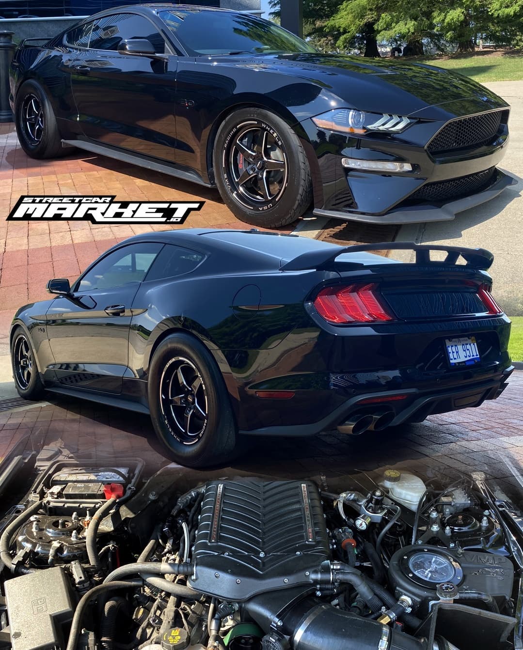 1100whp 2019 Ford Mustang GT