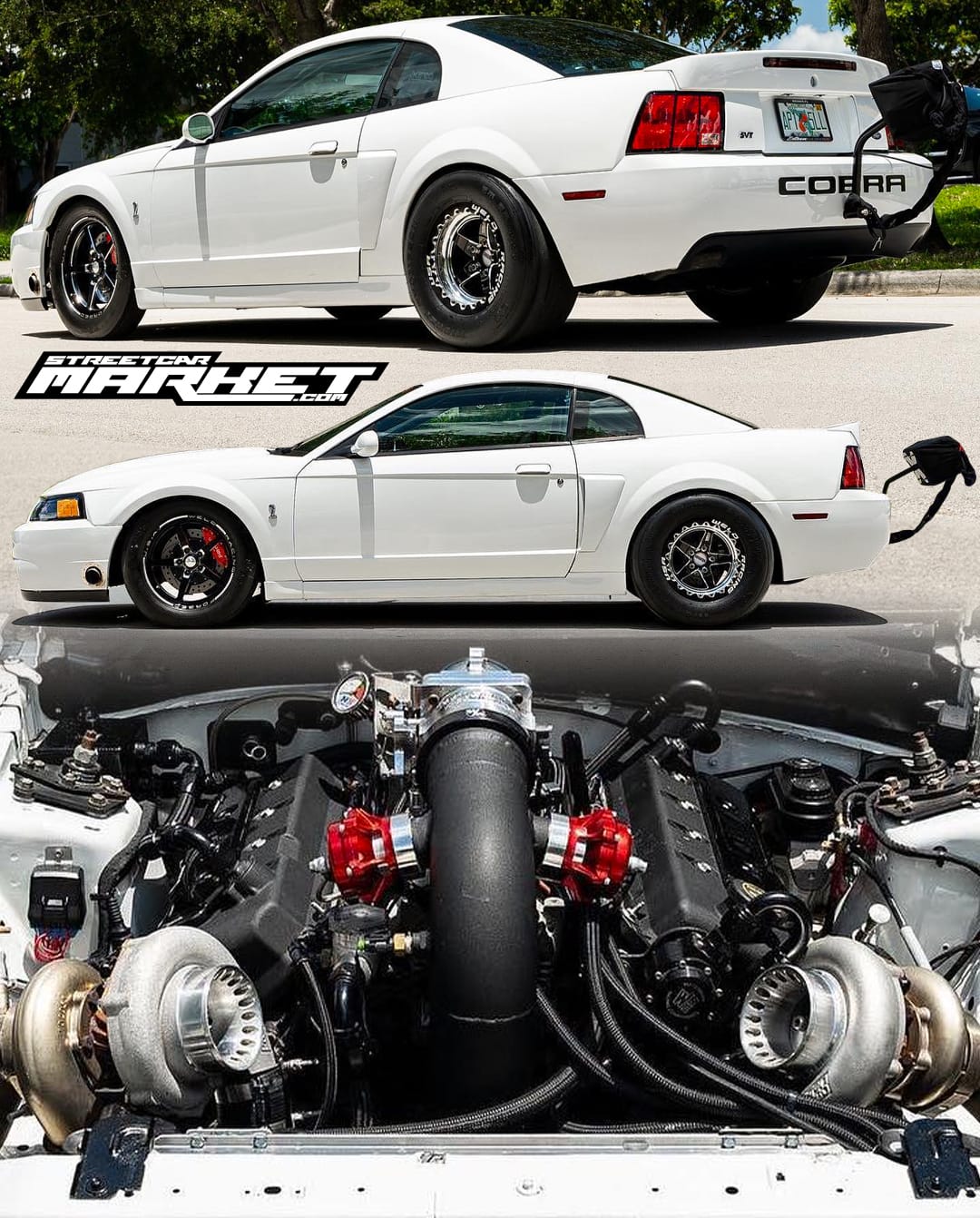 1318.9whp 2003 Ford Mustang SVT Cobra