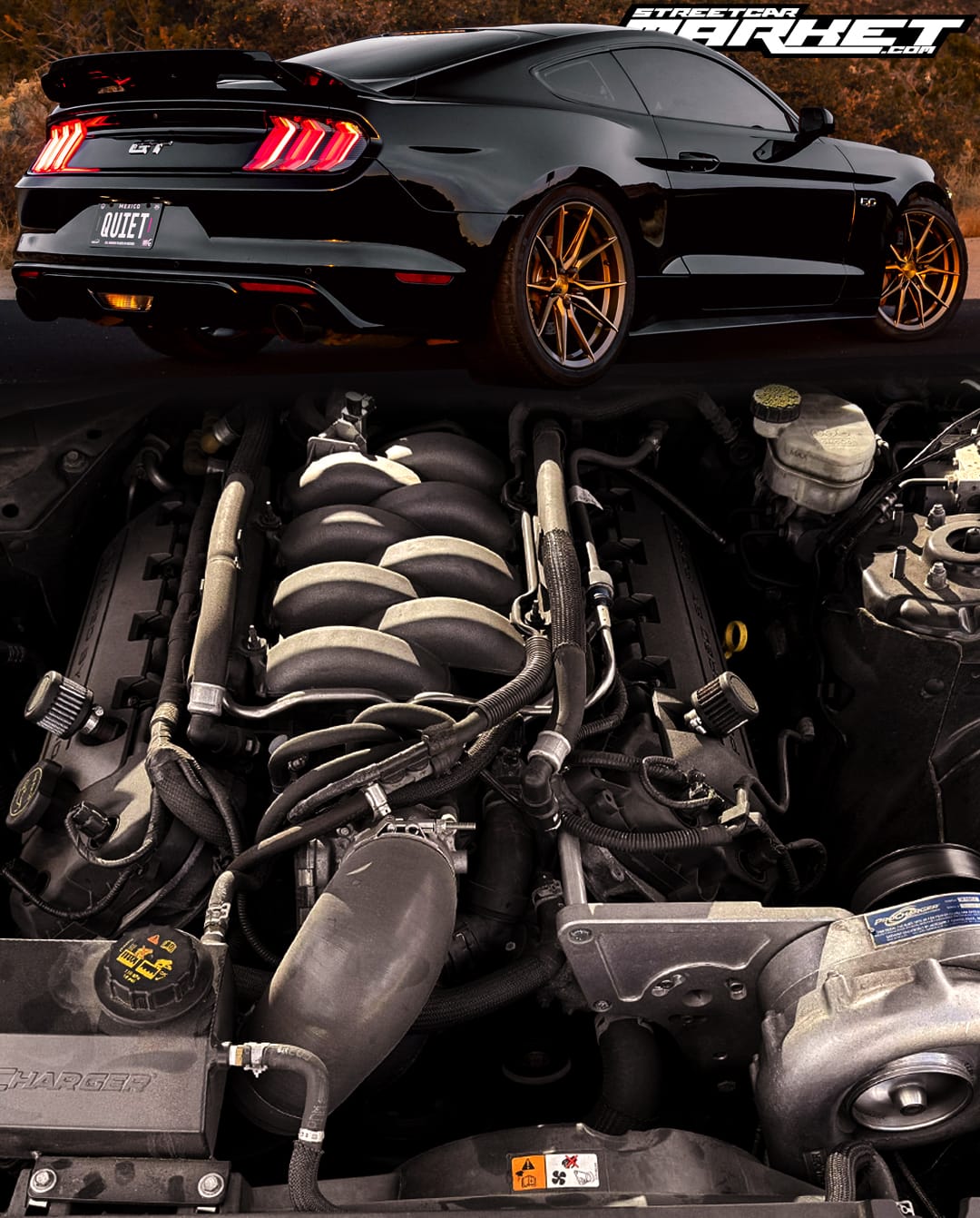 690whp 2017 Ford Mustang GT