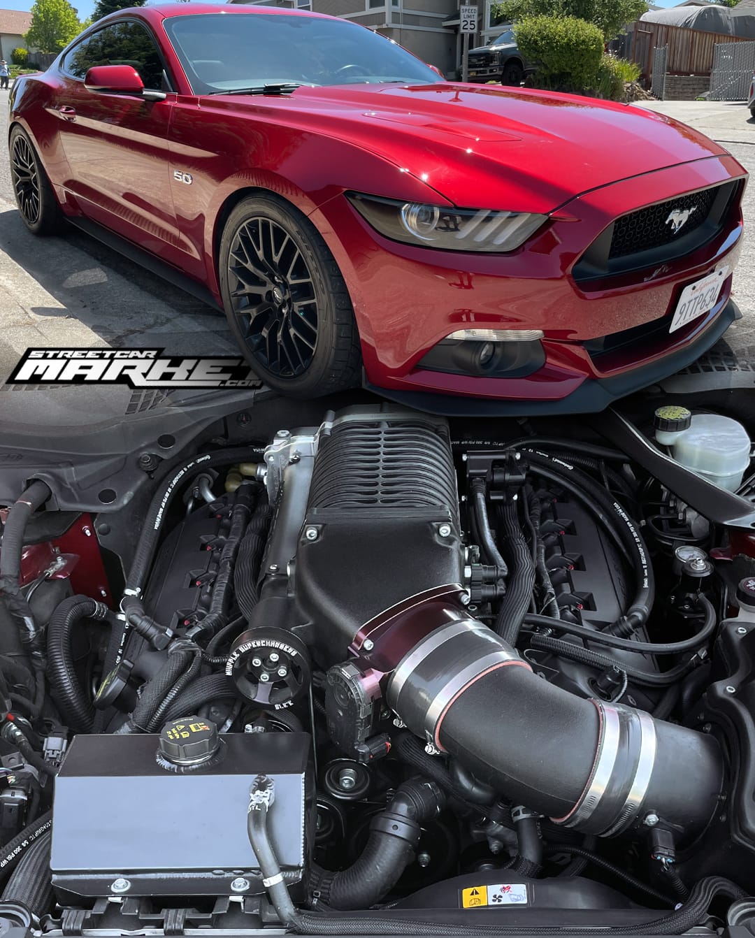 840whp 2015 Ford Mustang GT