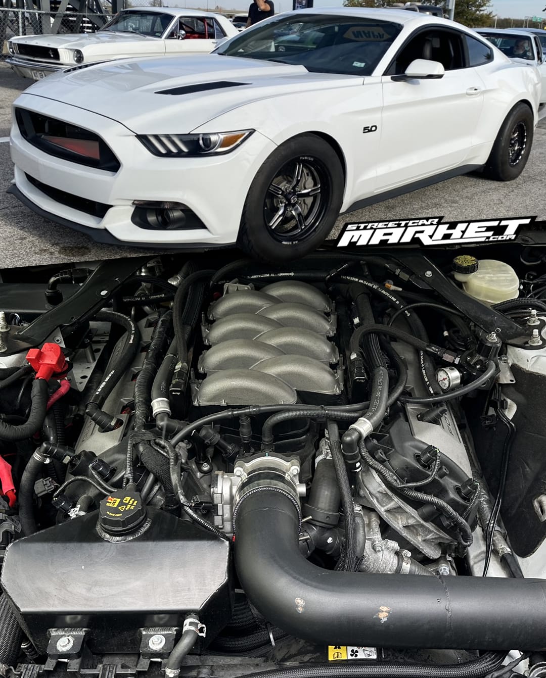 1200whp 2015 Ford Mustang GT