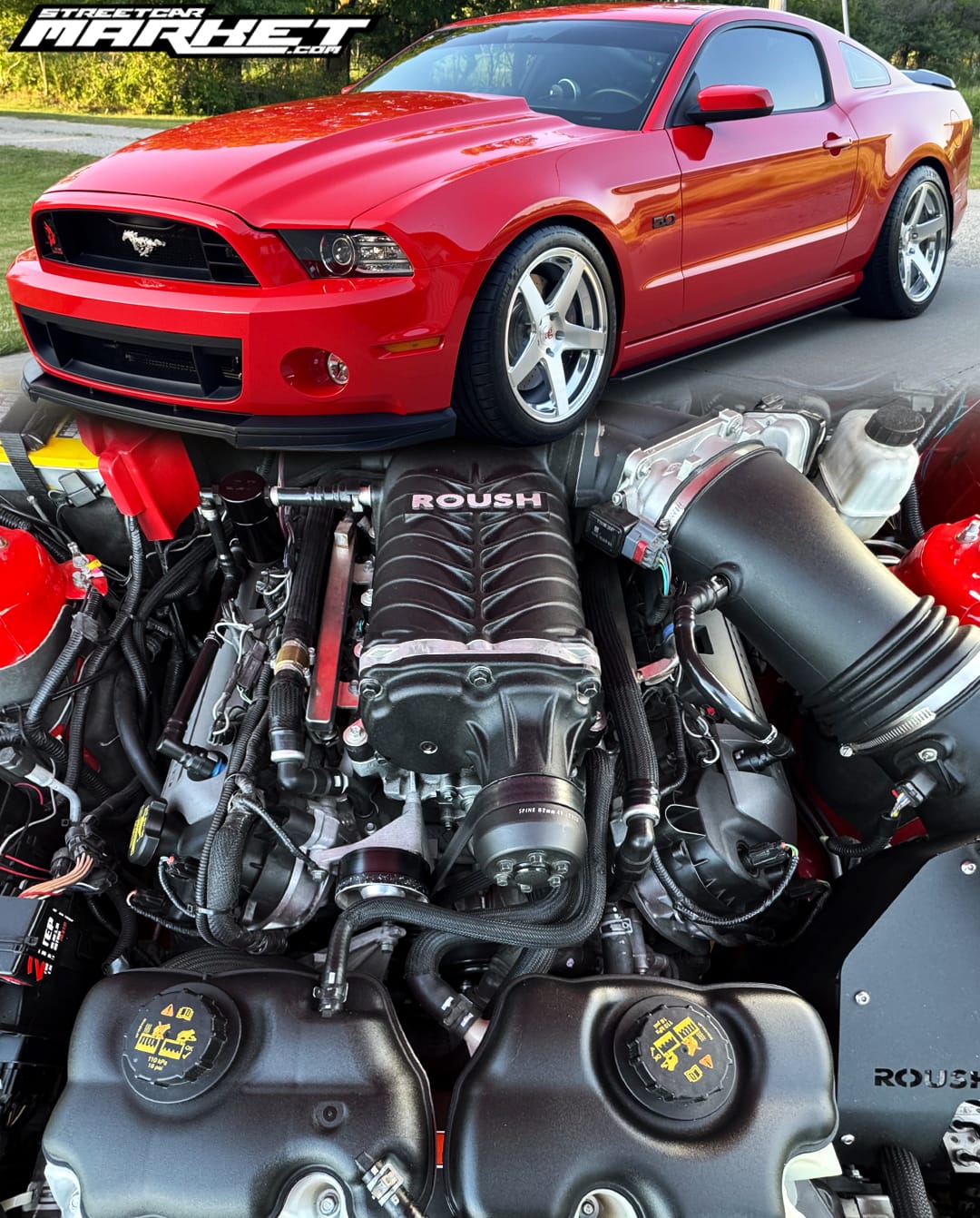 647whp 2014 Ford Mustang GT Track Pack