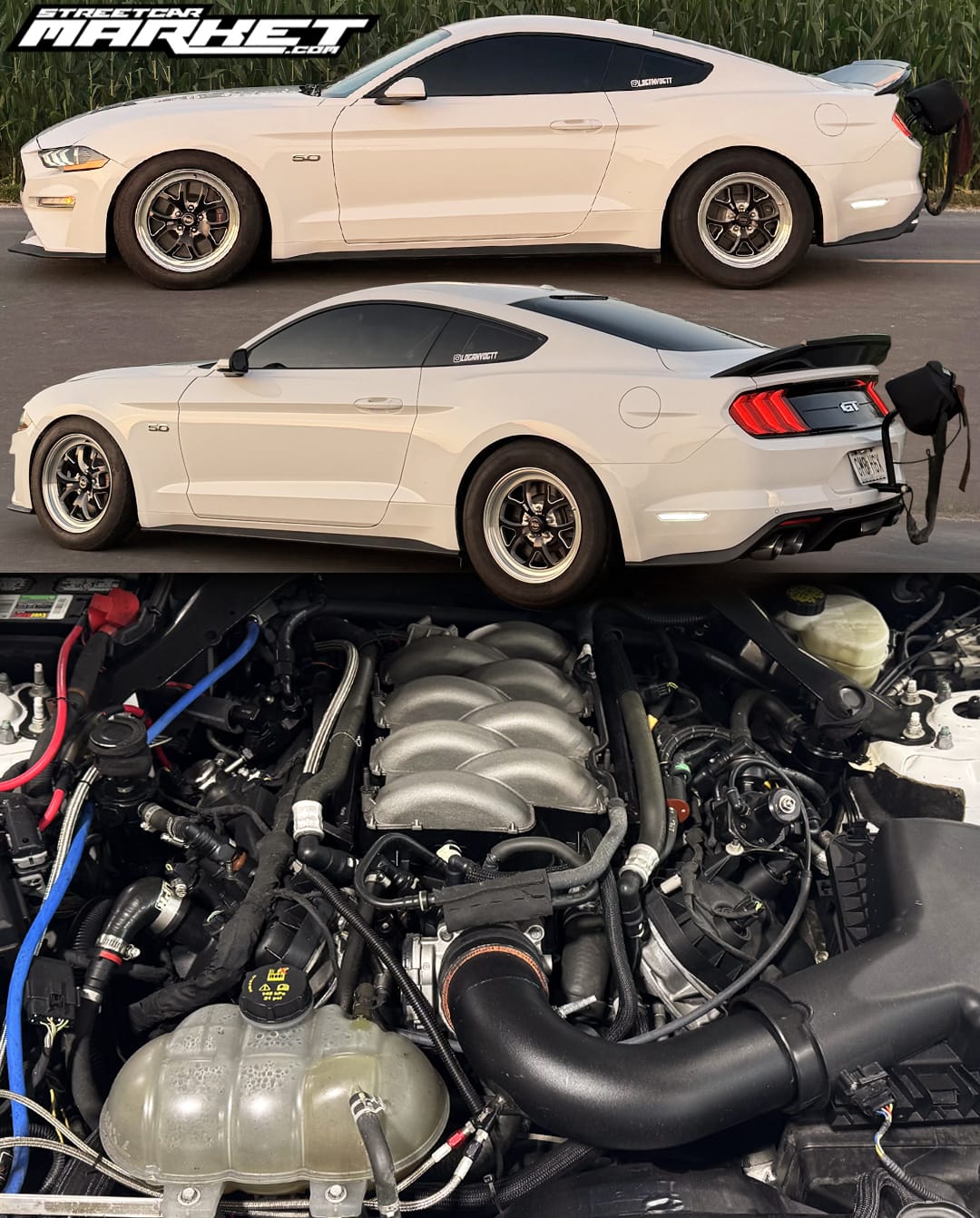 1127whp 2018 Ford Mustang GT